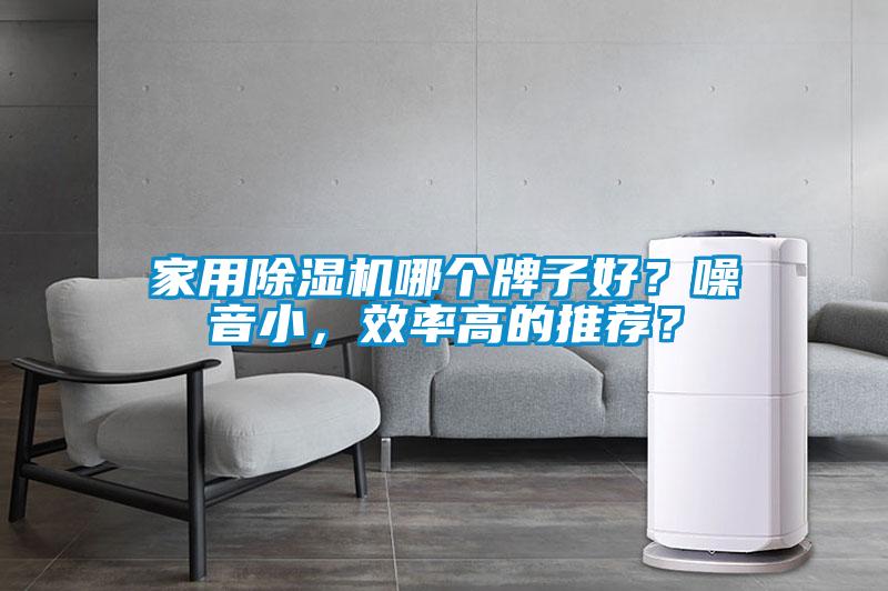 家用除湿机哪个牌子好？噪音小，效率高的推荐？