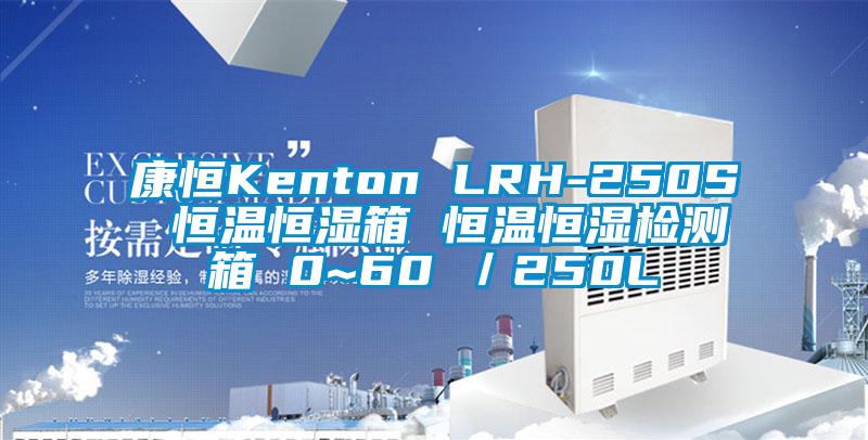 康恒Kenton LRH-250S 恒温恒湿箱 恒温恒湿检测箱 0~60℃/250L