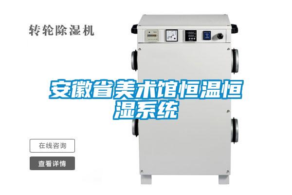 安徽省美术馆恒温恒湿系统