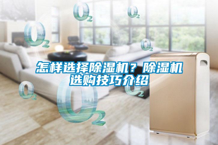 怎样选择除湿机？除湿机选购技巧介绍