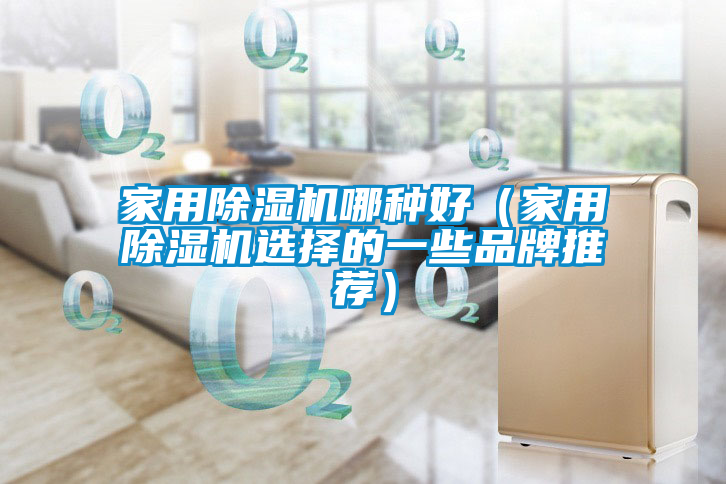 家用除湿机哪种好（家用除湿机选择的一些品牌推荐）