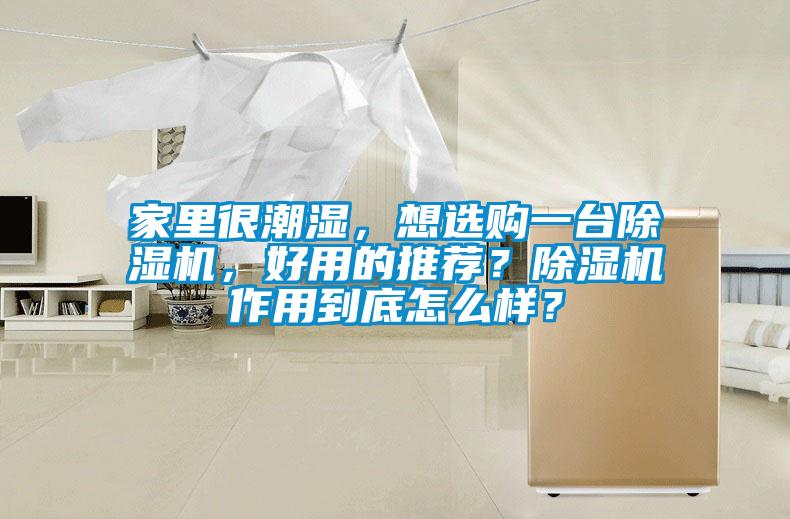 家里很潮湿，想选购一台除湿机，好用的推荐？除湿机作用到底怎么样？
