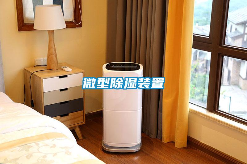 微型除湿装置