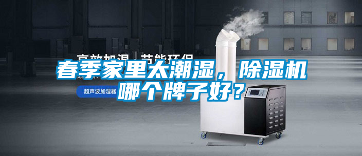 春季家里太潮湿，除湿机哪个牌子好？