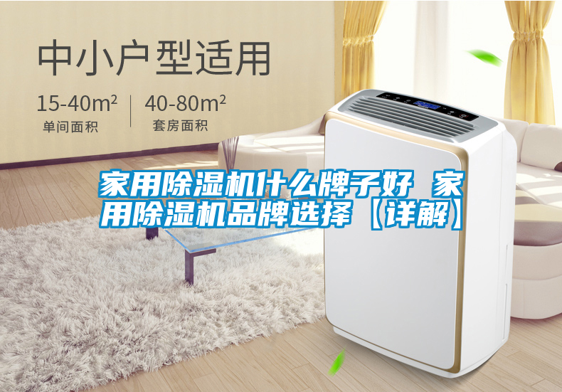 家用除湿机什么牌子好 家用除湿机品牌选择【详解】