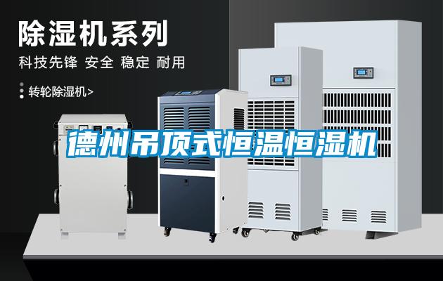 德州吊顶式恒温恒湿机