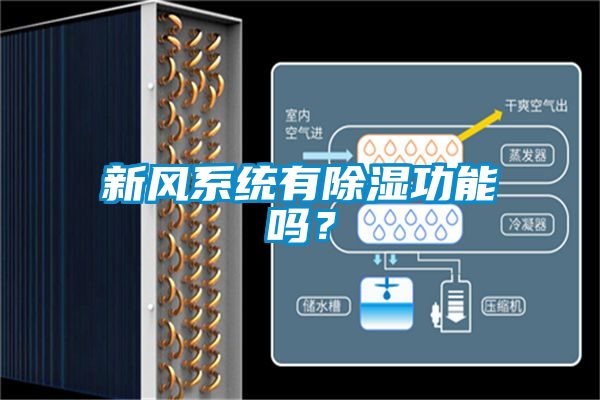 新风系统有除湿功能吗？