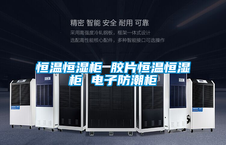 恒温恒湿柜 胶片恒温恒湿柜 电子防潮柜