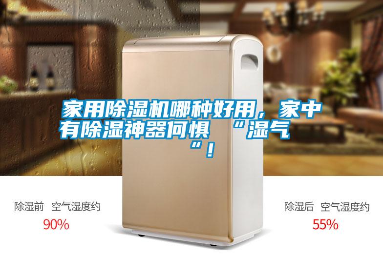 家用除湿机哪种好用，家中有除湿神器何惧 “湿气 “！