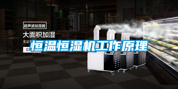 恒温恒湿机工作原理