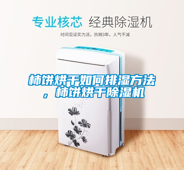 柿饼烘干如何排湿方法，柿饼烘干除湿机