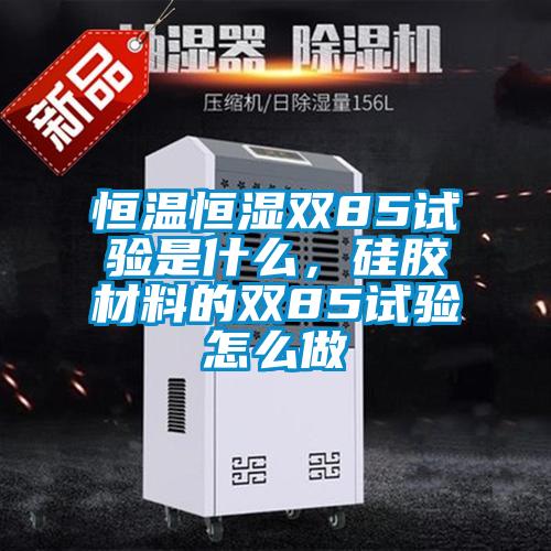 恒温恒湿双85试验是什么，硅胶材料的双85试验怎么做