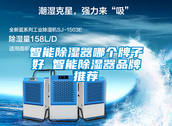 智能除湿器哪个牌子好 智能除湿器品牌推荐