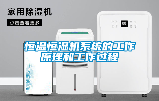 恒温恒湿机系统的工作原理和工作过程