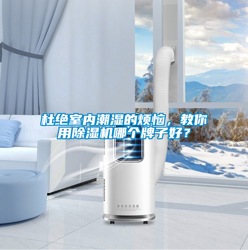 杜绝室内潮湿的烦恼，教你用除湿机哪个牌子好？