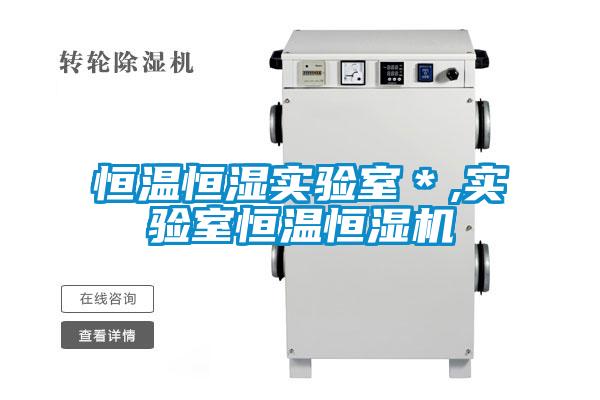 恒温恒湿实验室*,实验室恒温恒湿机