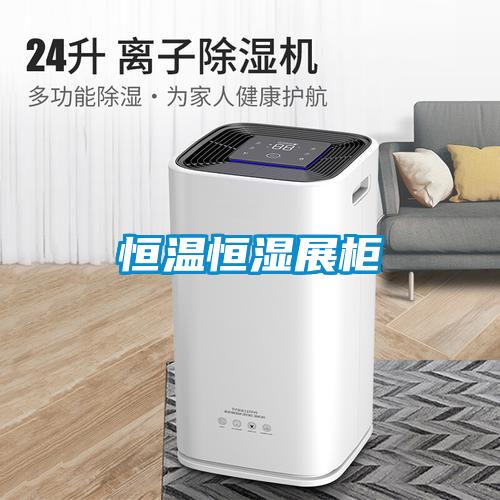 恒温恒湿展柜