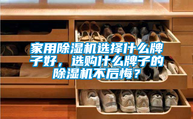家用除湿机选择什么牌子好，选购什么牌子的除湿机不后悔？