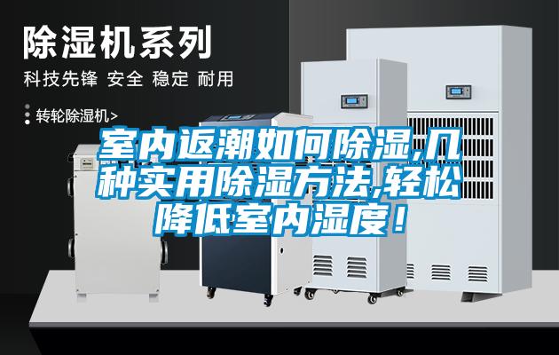 室内返潮如何除湿,几种实用除湿方法,轻松降低室内湿度！
