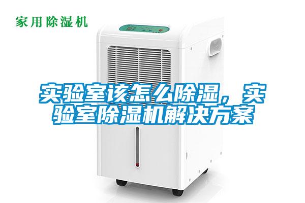 实验室该怎么除湿,实验室除湿机解决方案