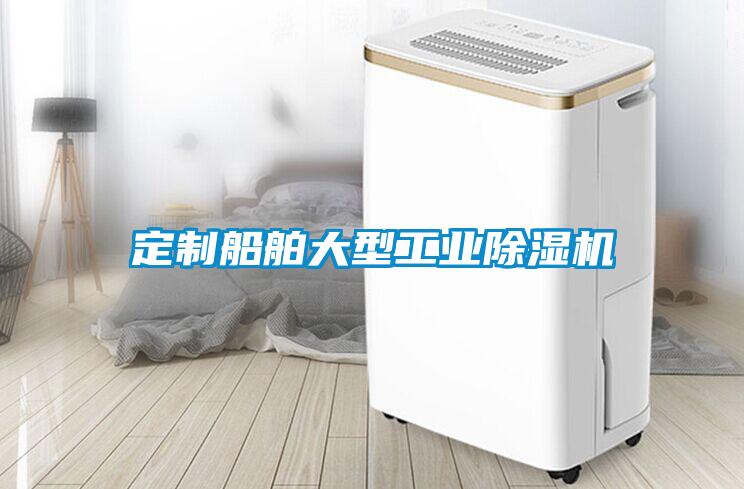 定制船舶大型工业除湿机