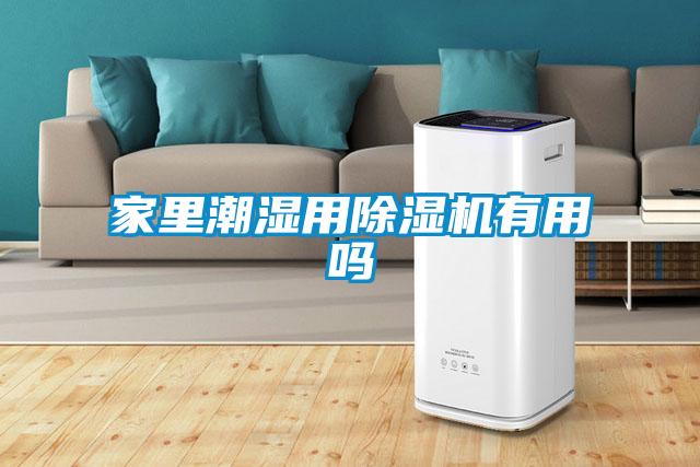 家里潮湿用除湿机有用吗