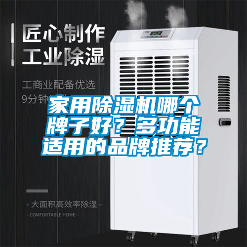 家用除湿机哪个牌子好？多功能适用的品牌推荐？