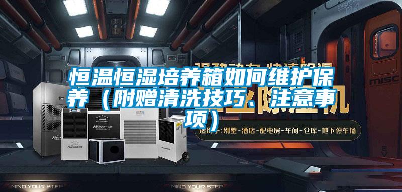 恒温恒湿培养箱如何维护保养（附赠清洗技巧、注意事项）