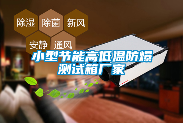 小型节能高低温防爆测试箱厂家