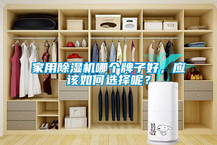 家用除湿机哪个牌子好，应该如何选择呢？