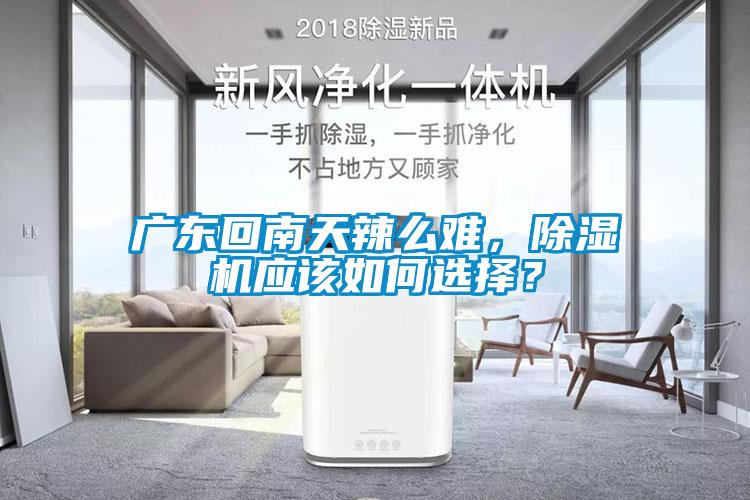 广东回南天辣么难，除湿机应该如何选择？