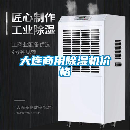 大连商用除湿机价格