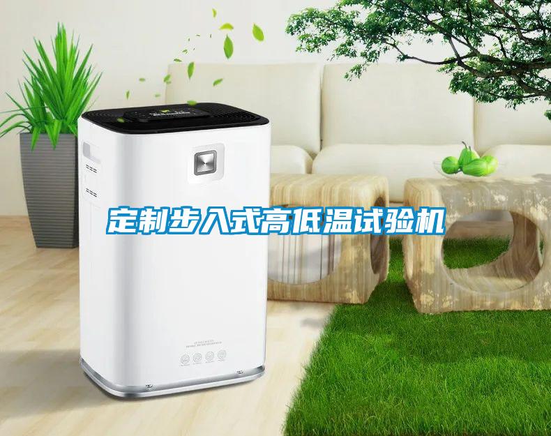 定制步入式高低温试验机