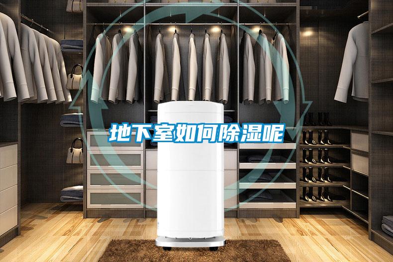地下室如何除湿呢