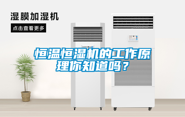 恒温恒湿机的工作原理你知道吗？