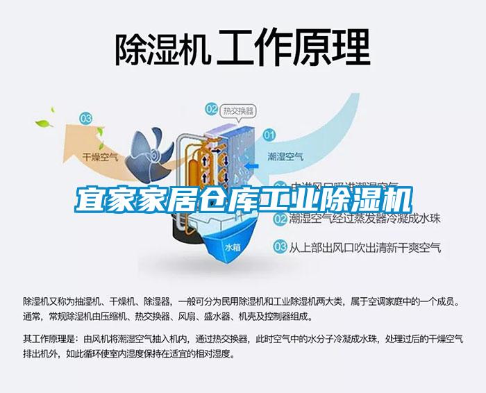 宜家家居仓库工业除湿机