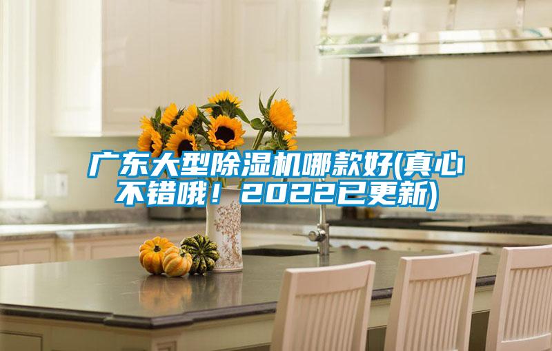 广东大型除湿机哪款好(真心不错哦！2022已更新)