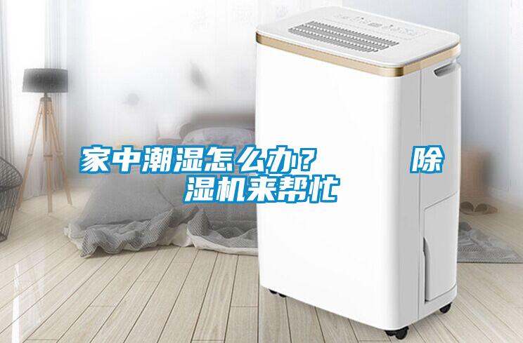家中潮湿怎么办？    除湿机来帮忙