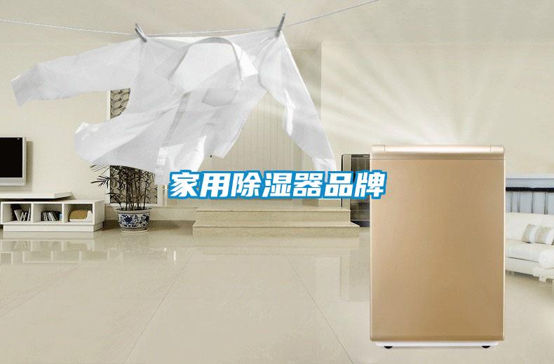 家用除湿器品牌