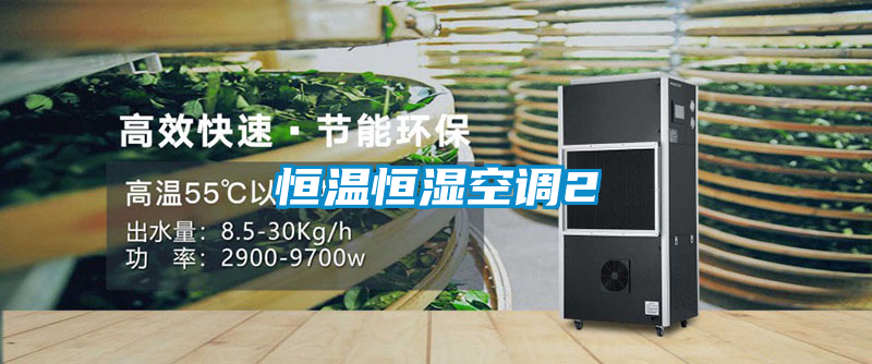 恒温恒湿空调2