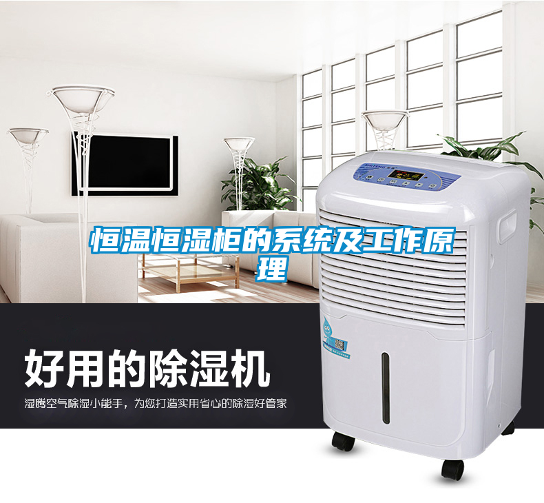 恒温恒湿柜的系统及工作原理
