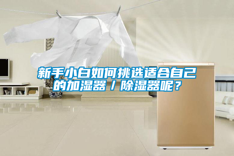 新手小白如何挑选适合自己的加湿器／除湿器呢？