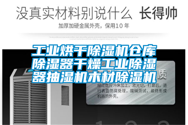 工业烘干除湿机仓库除湿器干燥工业除湿器抽湿机木材除湿机