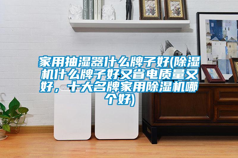 家用抽湿器什么牌子好(除湿机什么牌子好又省电质量又好，十大名牌家用除湿机哪个好)