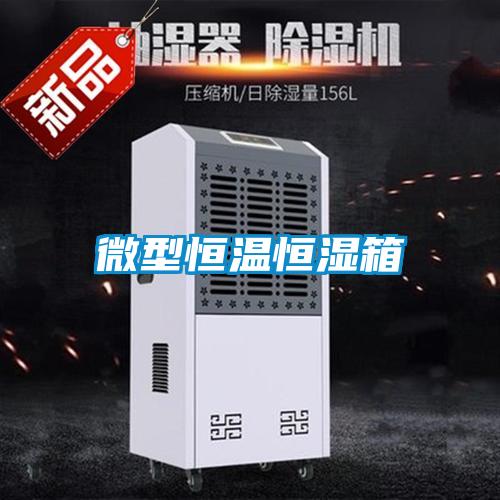 微型恒温恒湿箱