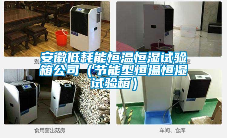 安徽低耗能恒温恒湿试验箱公司（节能型恒温恒湿试验箱）