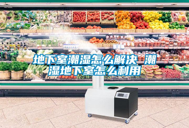 地下室潮湿怎么解决 潮湿地下室怎么利用