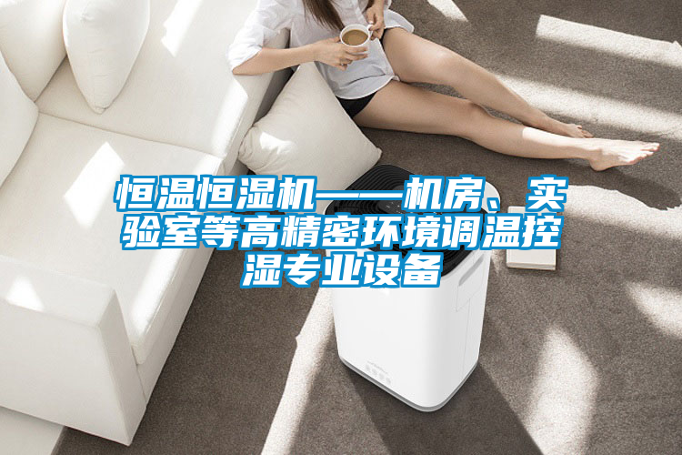 恒温恒湿机——机房、实验室等高精密环境调温控湿专业设备