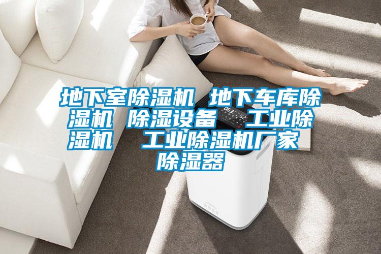 地下室除湿机 地下车库除湿机 除湿设备 工业除湿机 工业除湿机厂家 除湿器