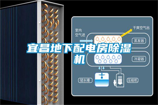 宜昌地下配电房除湿机